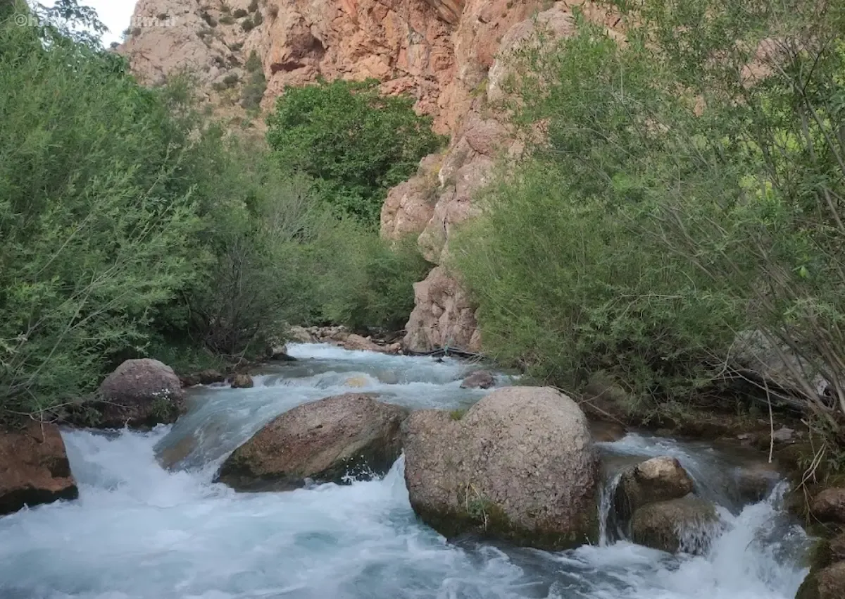 چشمه‌های الموت