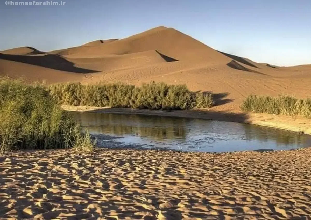 تالاب پساب یزد