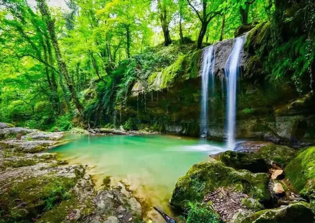 جنگل لفور مازندران 1