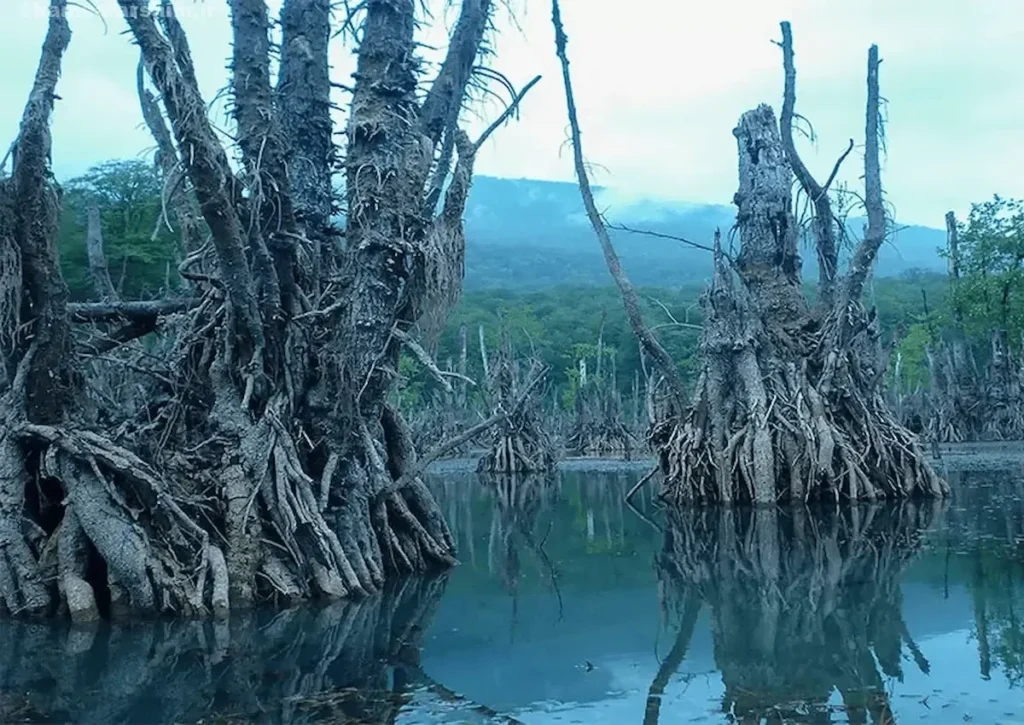 دریاچه ارواح نوشهر 1 e1745783488847