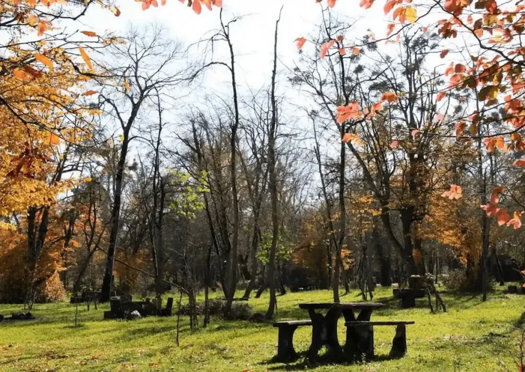 پارک جنگلی سی سنگان کجاست