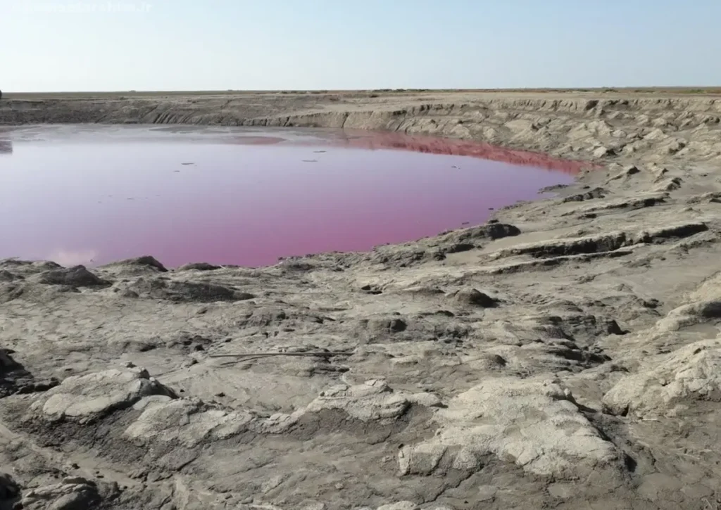 گُلفشان نفتلیجه گمیشان