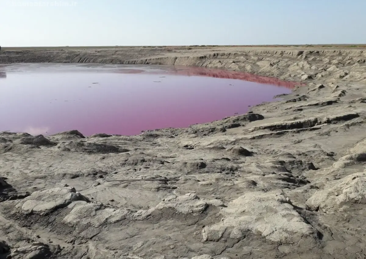 گُلفشان نفتلیجه گمیشان، پدیده طبیعی در استان گلستان