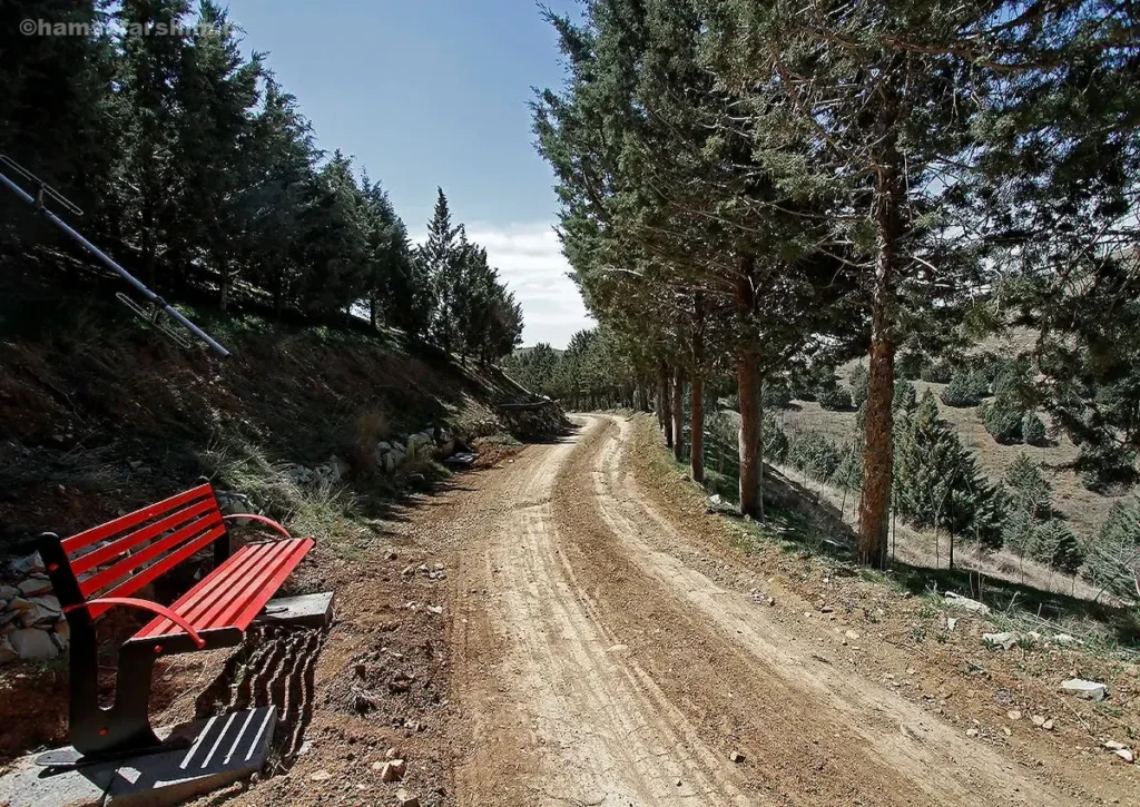 پارک جنگلی غزال تلو