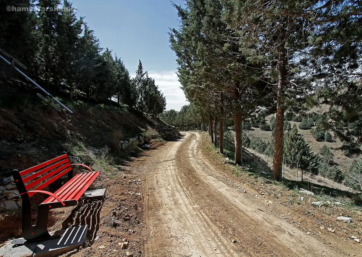 پارک جنگلی غزال تلو