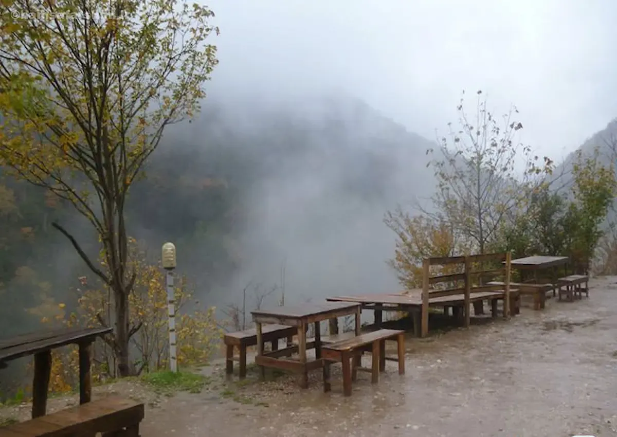 تصویری از پارک جنگلی کشپل مازندران با مه صبحگاهی و درختان انبوه