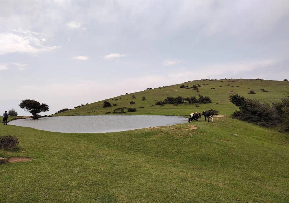 آبگیر گلدیان رودبار گیلان