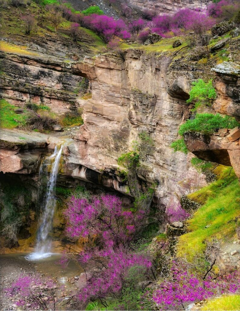 جاذبه طبیعی آبشار دال آو چگنی لرستان.