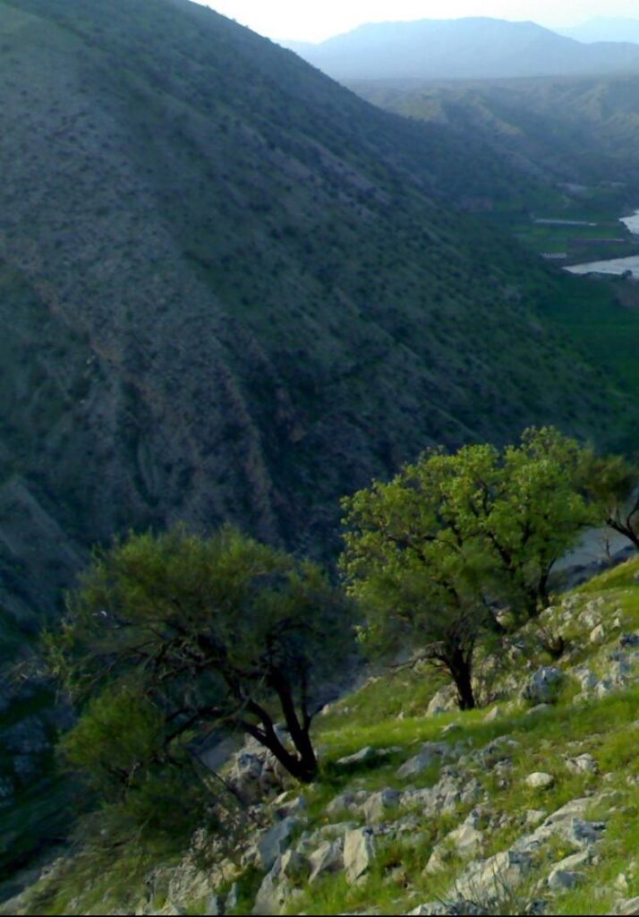 جاذبه طبیعی آبشار دال آو چگنی لرستان
